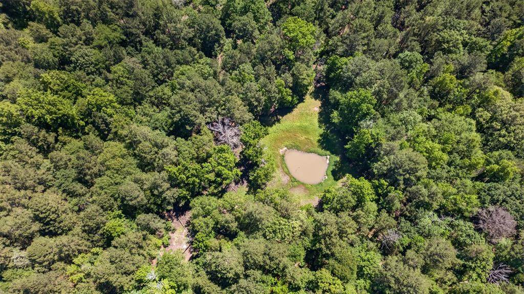 0 Anderson County Road 359 (Off) - Photo 1