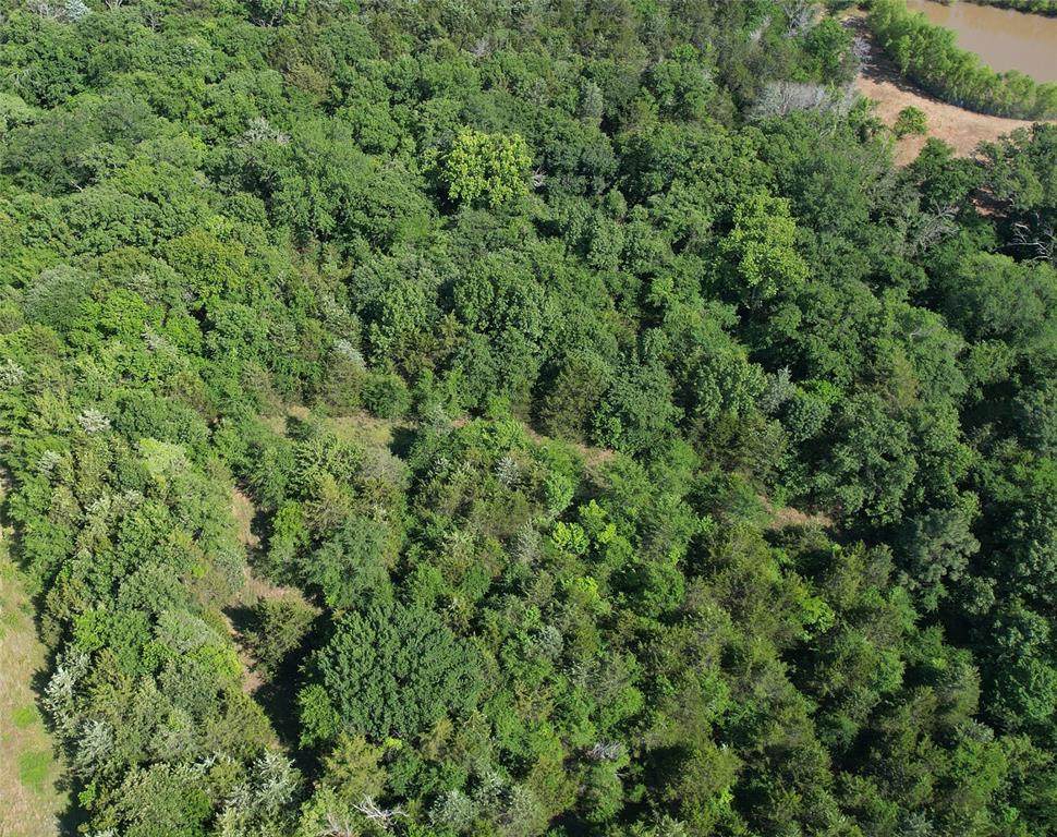 TBD Texoma Parkway - Photo 1