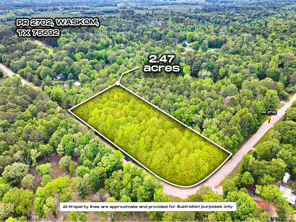 TBD Pr 2702 - Photo 1