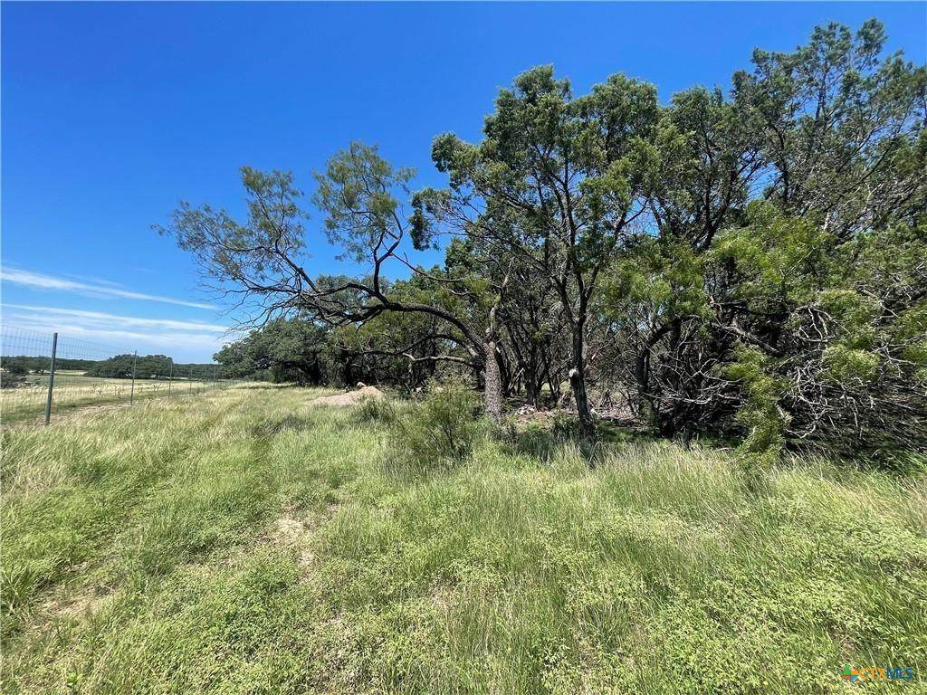 Lot 65 Estate View Circle - Photo 1