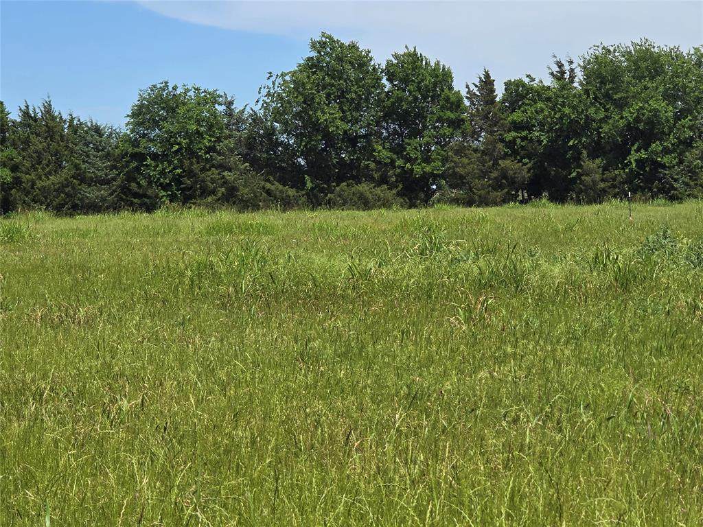 TBD County Road 1039 - Photo 1