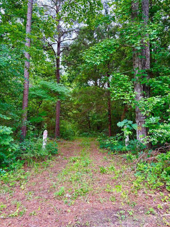 TBD County Road 4504 - Photo 1