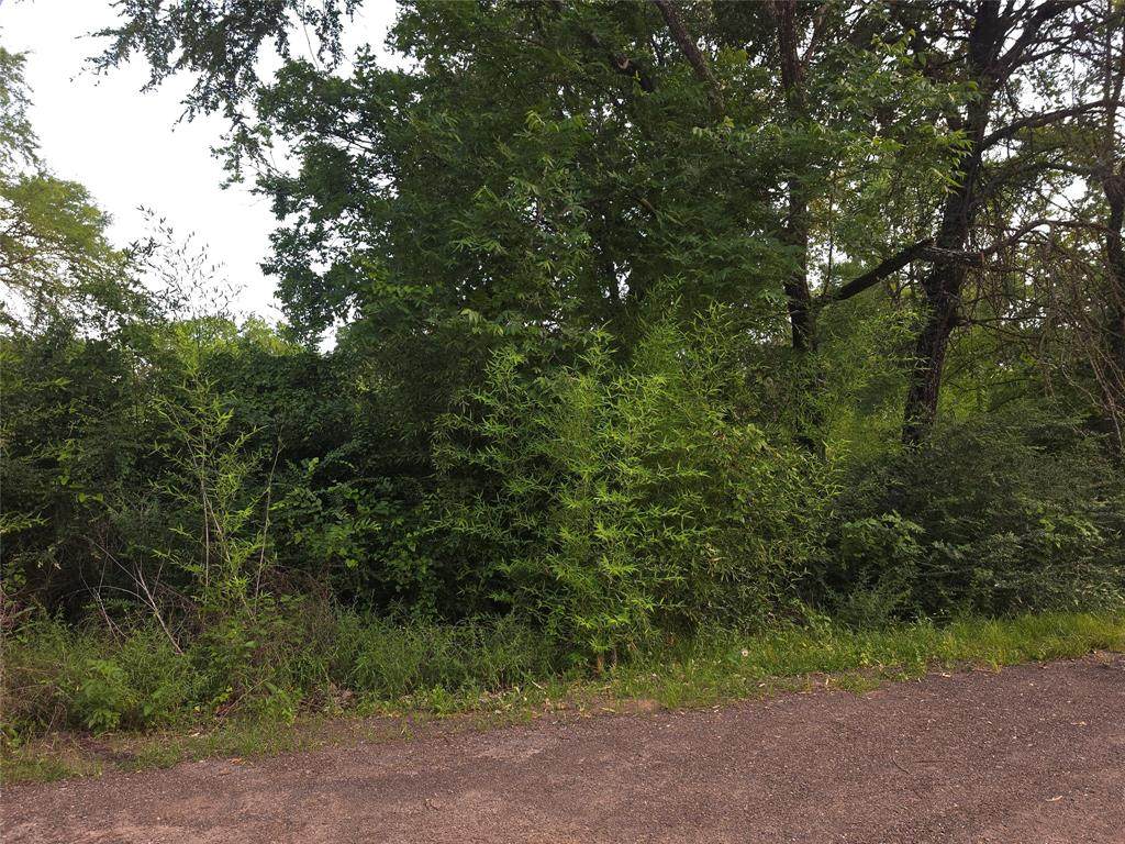115 Abrams Road - Photo 1