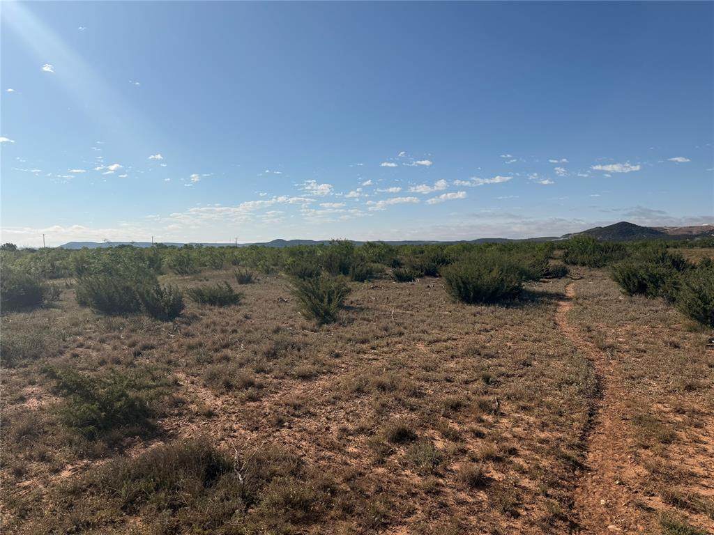 58 acres TBD Cr 343 - Photo 1