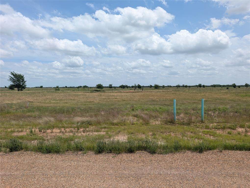 1107 Skyline Street - Photo 1