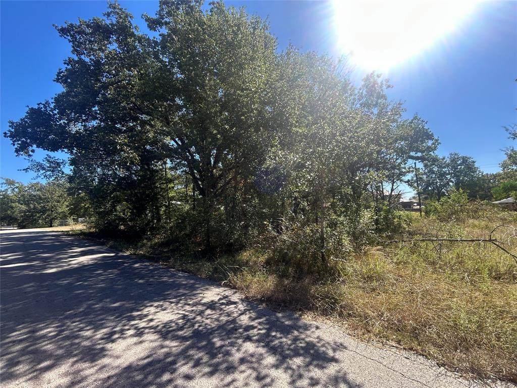 0 Bluebonnet Drive - Photo 1