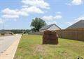 14122 Lexi Court - Photo 1