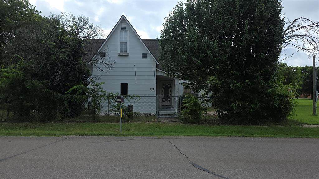 313 Pearl Street - Photo 1
