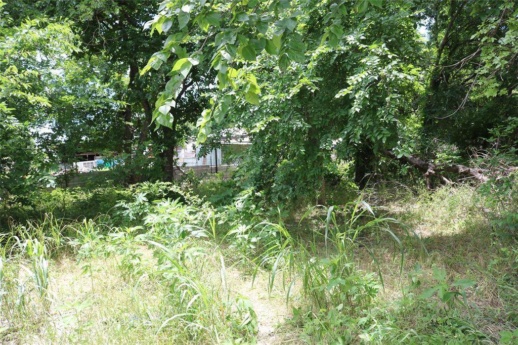 00 County Road 282 - Photo 1