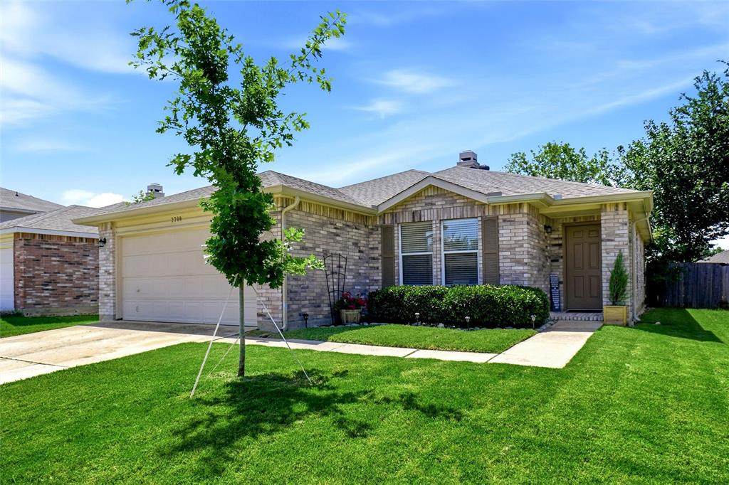 2208 Maple Drive - Photo 1
