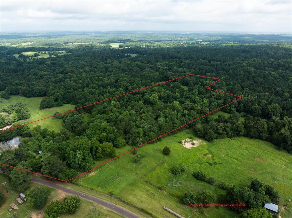 519 An County Road 450 - Photo 1