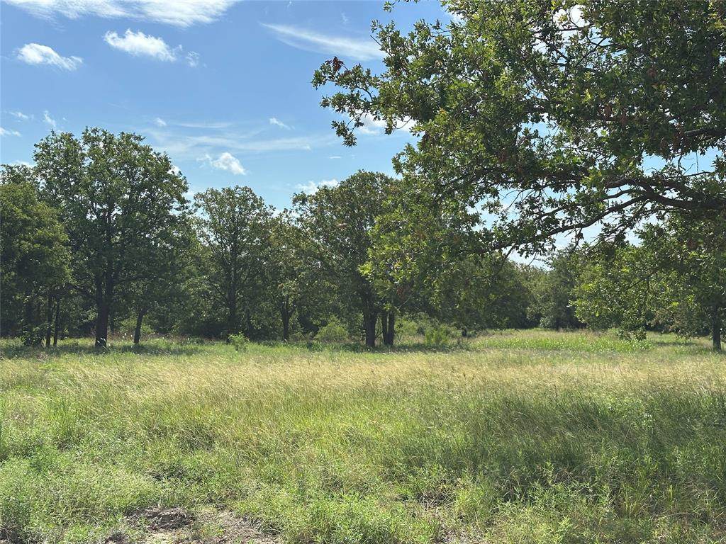 570 Big Salty Lane - Photo 1