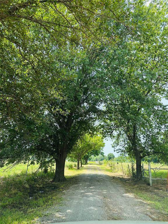 1655 Fm 120 - Photo 1