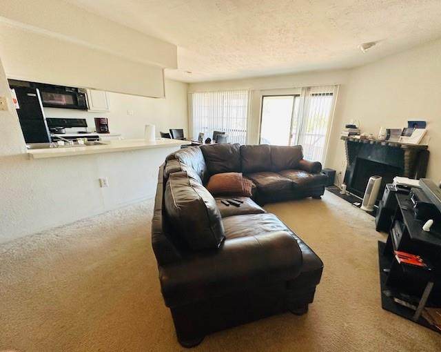 4448 Chaha Road - Photo 1