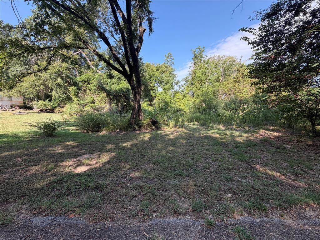 TBD Benjamin Drive - Photo 1