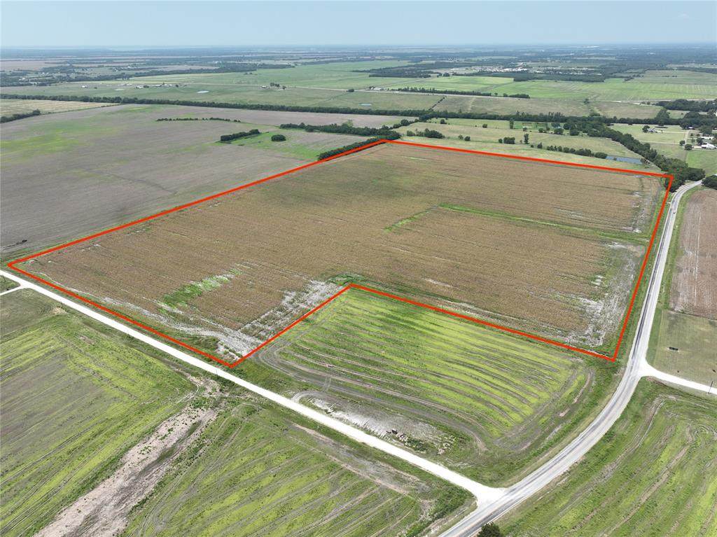 96 Acres Fm 137 - Photo 1