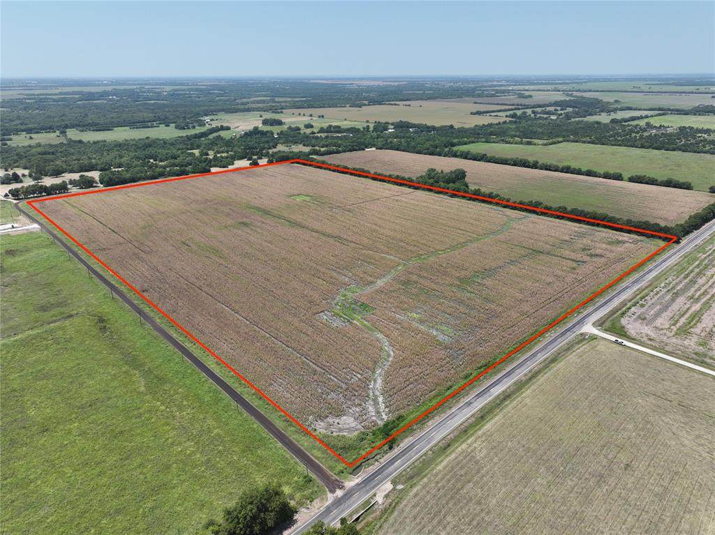 61 Acres Fm 137 - Photo 1