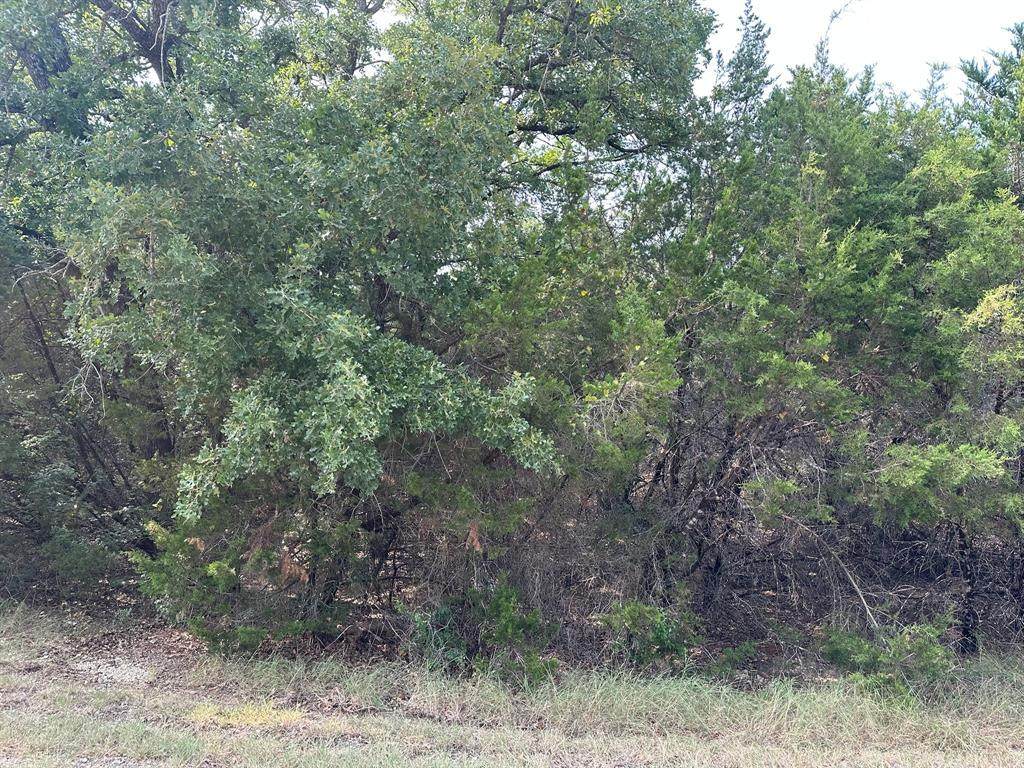 18038 & 18039 Southhill Drive - Photo 1