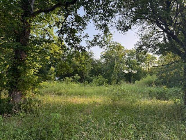 202 Elm Street - Photo 1