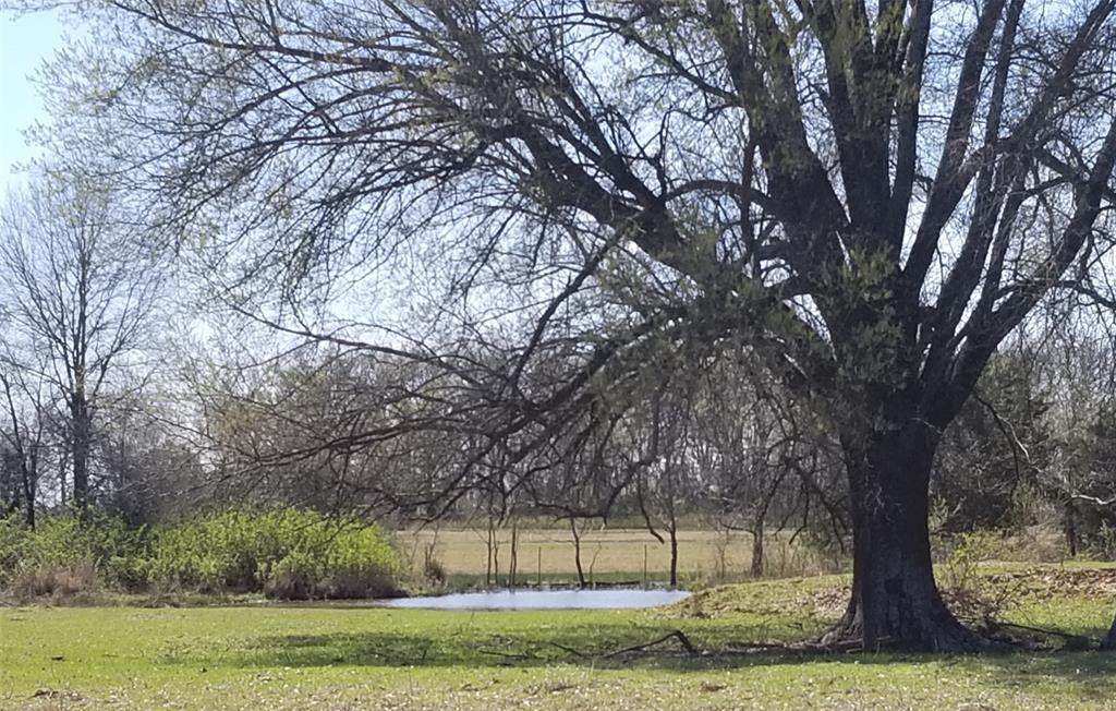 TBD 0000 Farm Road 1502 - Photo 1