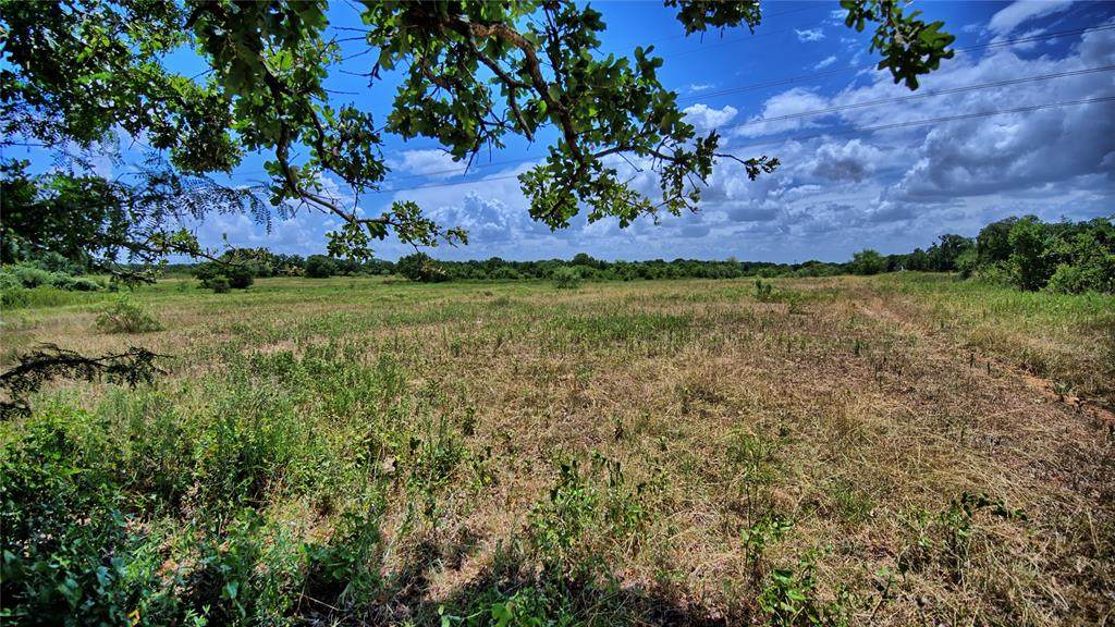 1179 County Road 1470 - Photo 1