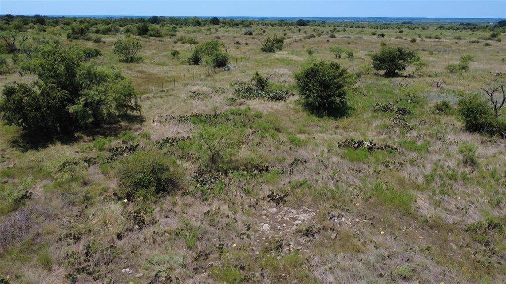 0000 County Road 161 - Photo 1