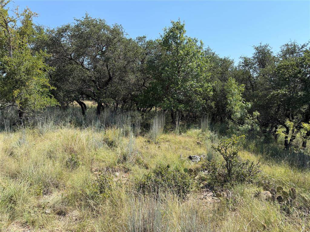 TBD Lot 974 Lake Point Drive - Photo 1