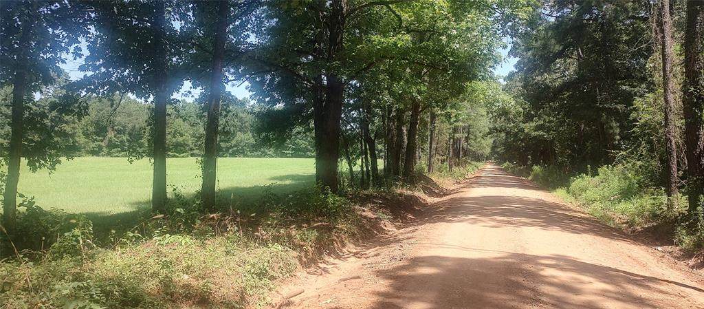381 County Road 4688 - Photo 1