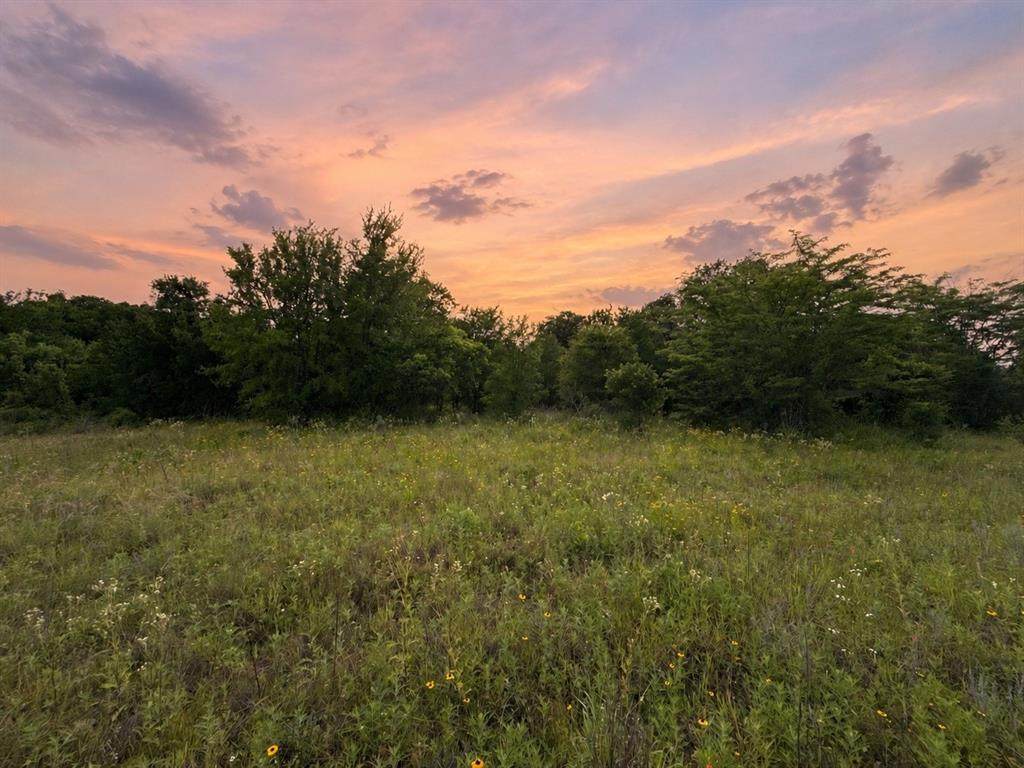 316 County Road 458 - Photo 1