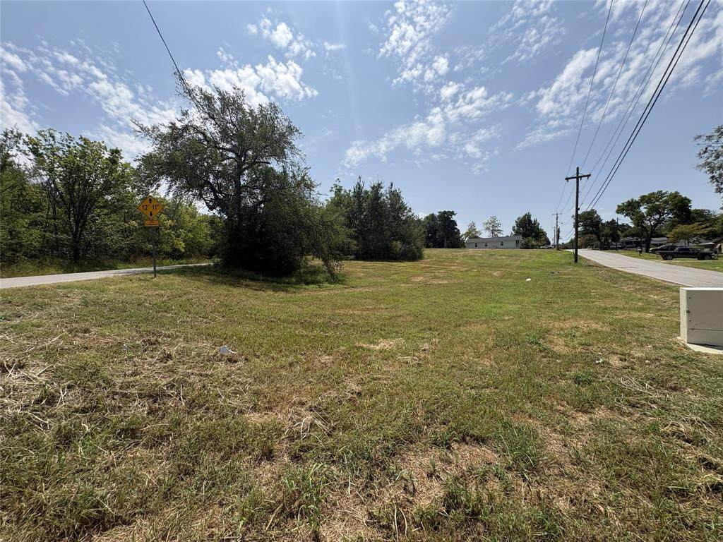 TBD S. Travis Avenue - Photo 1