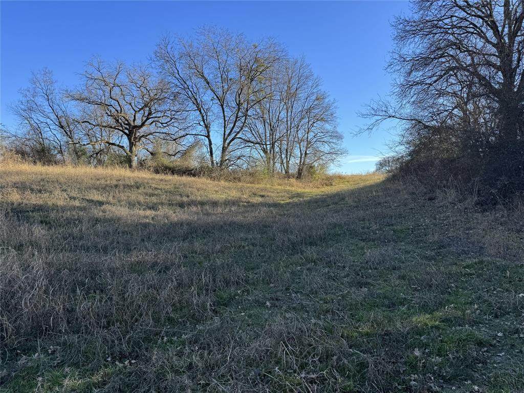 TBD Co Rd 4026 - Photo 1