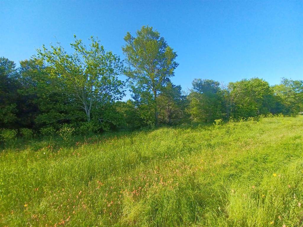 BLOCK 004 W Hwy 84 Highway - Photo 1