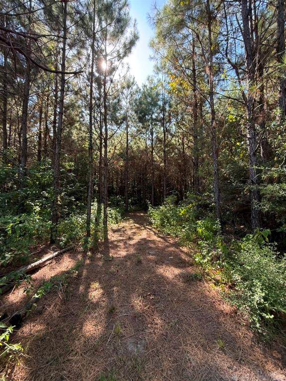 TBD Pr 8263 - Photo 1