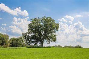 https://bt-photos.global.ssl.fastly.net/ntreis/orig_boomver_1_21371624-2.jpg