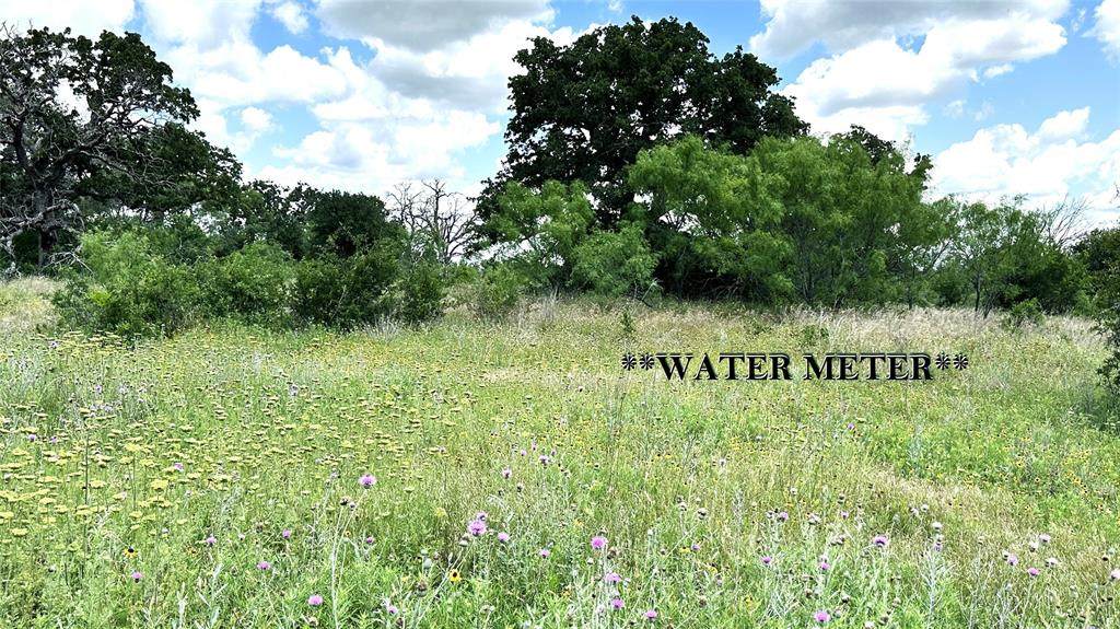 TBD 17 County Road 295 - Photo 1