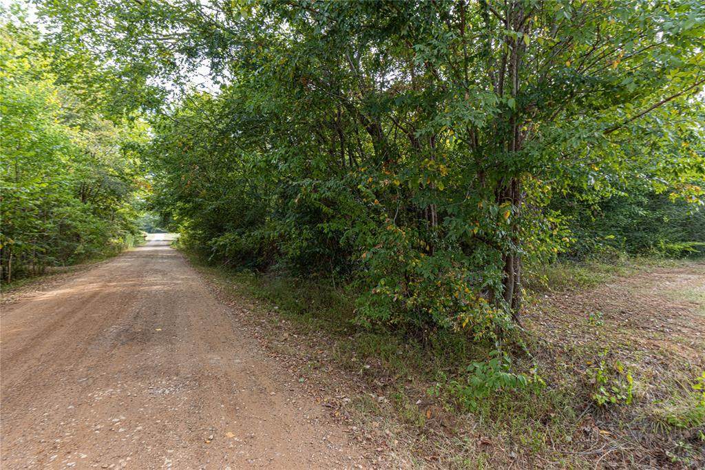 185 Hackberry - Photo 1