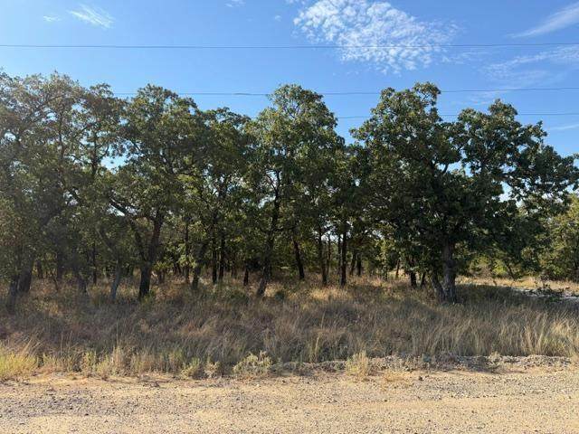 194 Cherokee Trail - Photo 1