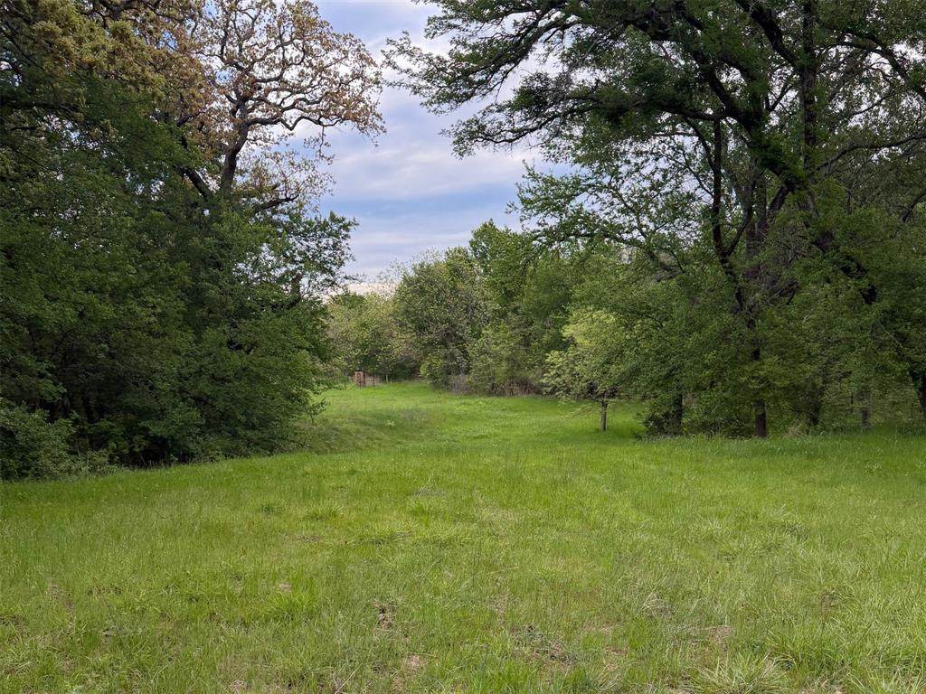 1576 Adell Circle - Photo 1