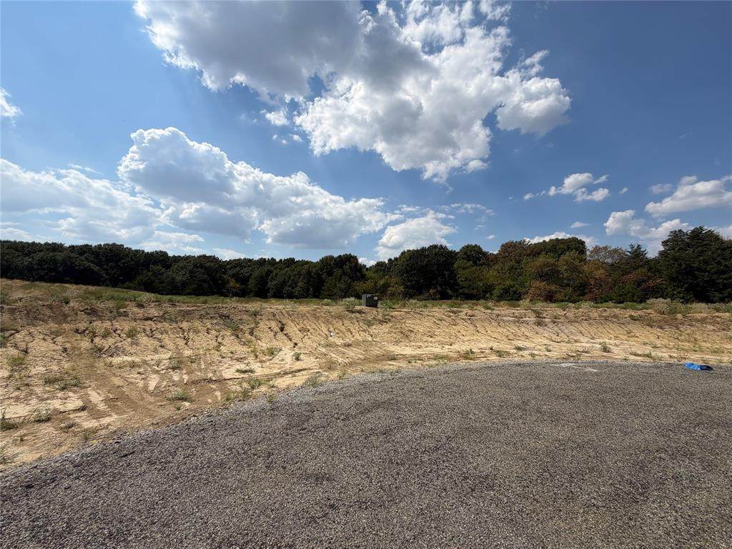 Lot 8 County Road 1110 - Photo 1