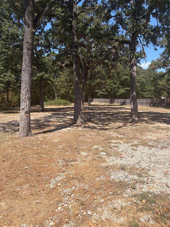6885 County Road 3512 Road - Photo 1