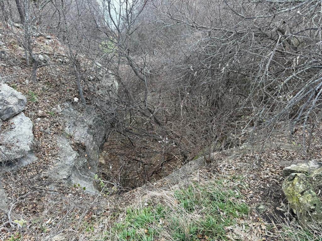 https://bt-photos.global.ssl.fastly.net/ntreis/orig_boomver_1_21375512-2.jpg