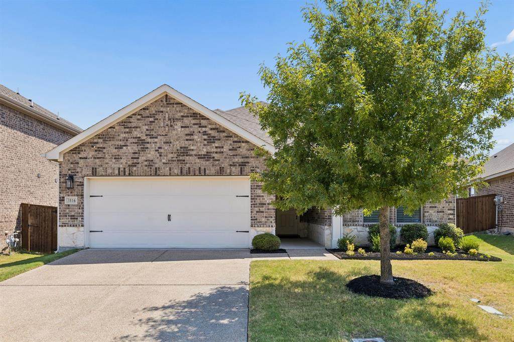 3816 Chicory Court - Photo 1