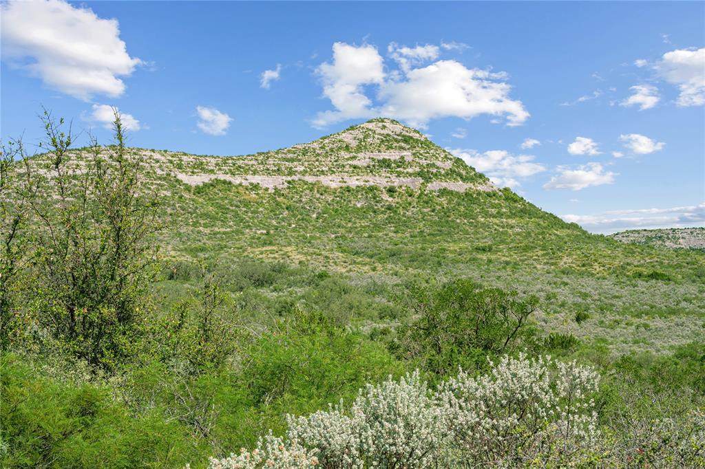 Nueces River Ranch Hwy 55 - Photo 1