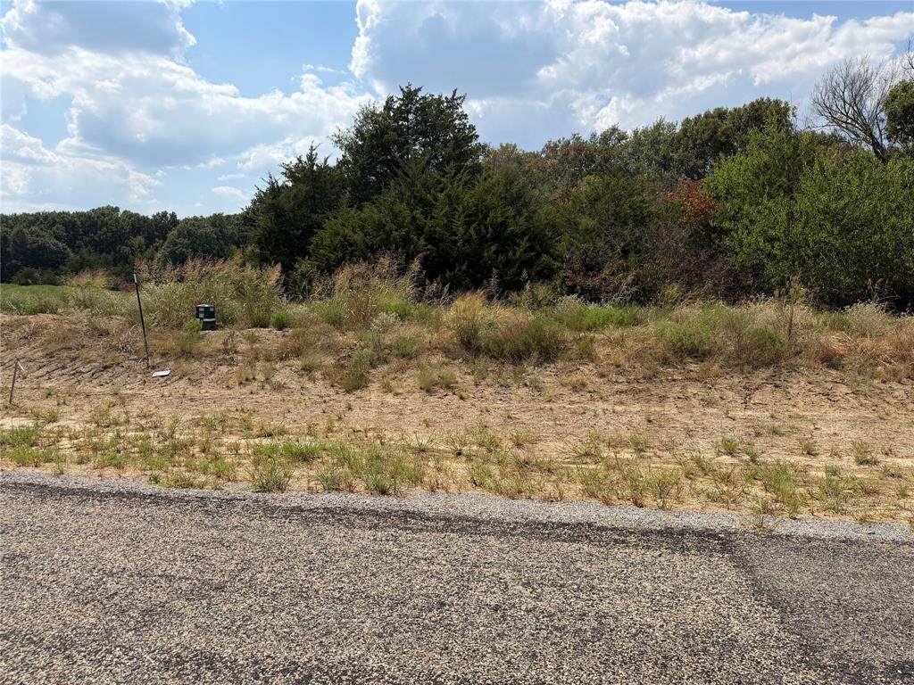 Lot 10 County Road 1110 - Photo 1