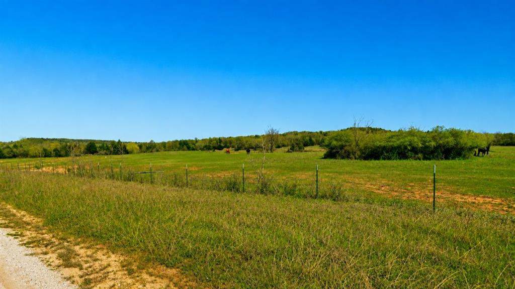 Lot 18 Parker Dairy Road - Photo 1