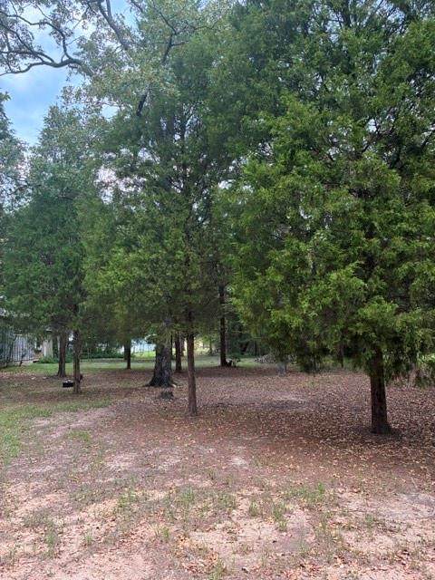 000 Jim Bowie Lane - Photo 1