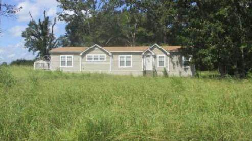 125 Live Oak Drive - Photo 1