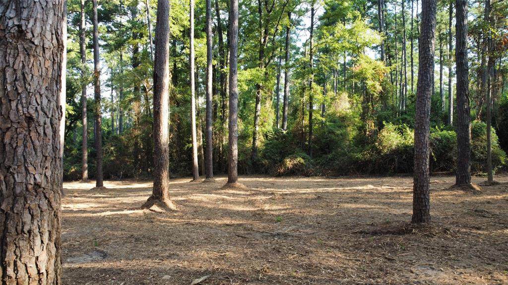 TBD County Road 192 - Photo 1