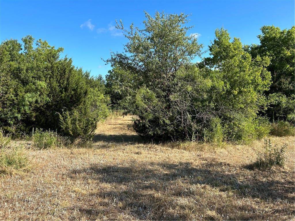 170 Open Spaces - Photo 1