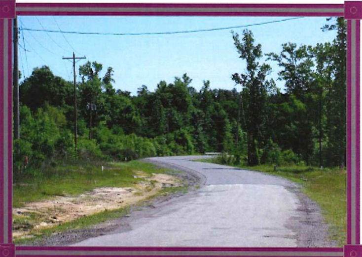 1516 Walden Ferry - Photo 1